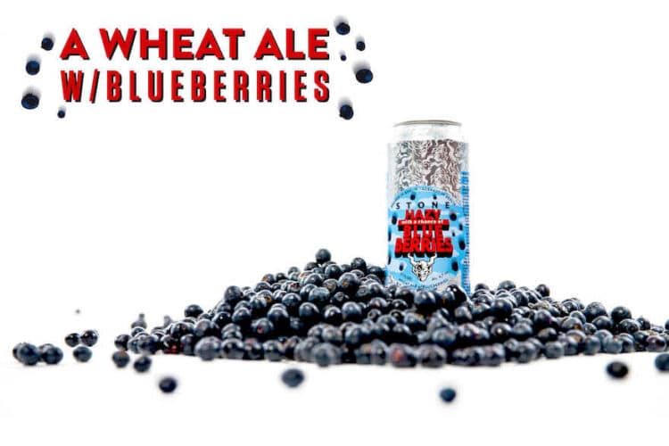 Blaubeeren sind das I-Tüpfelchen