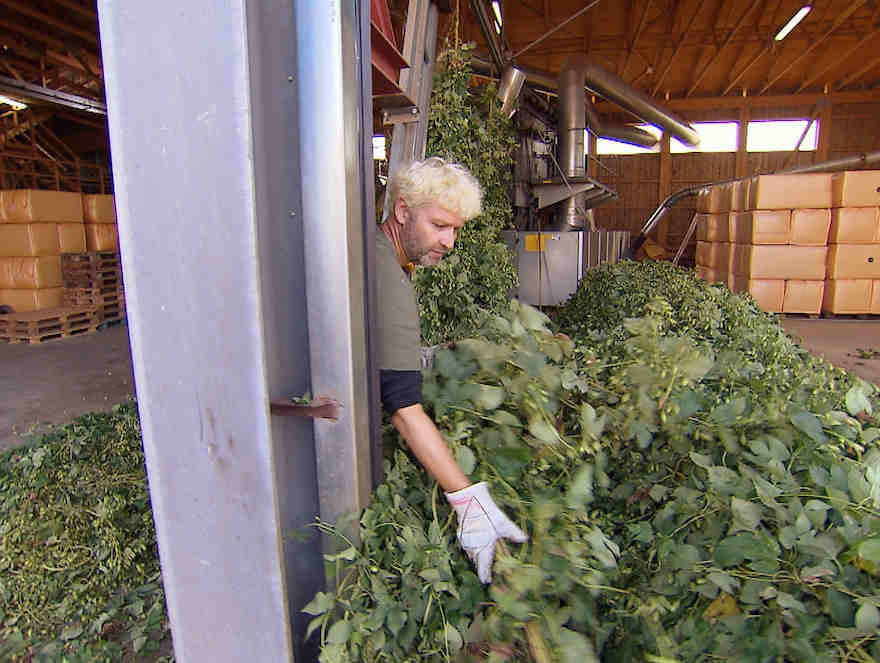 Gieselmann bei "Undercover Boss"