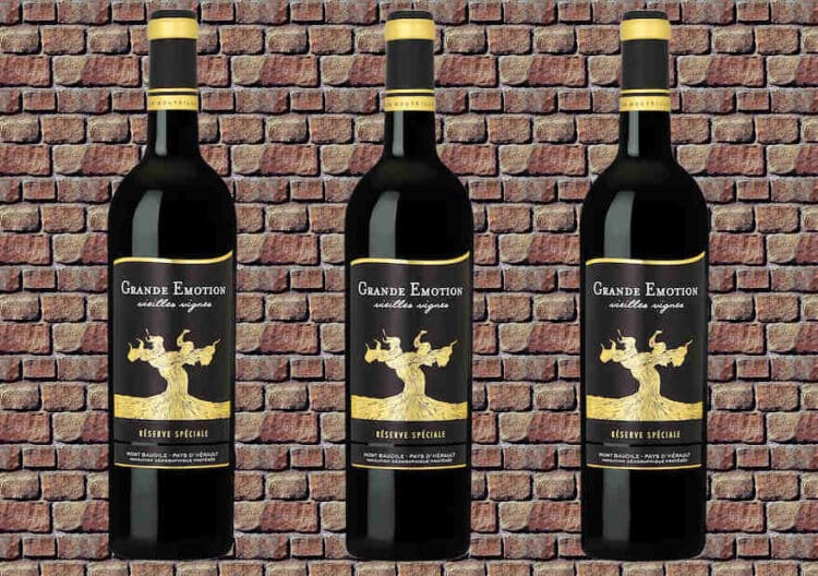 Kräftiger Tropfen aus Südfrankreich