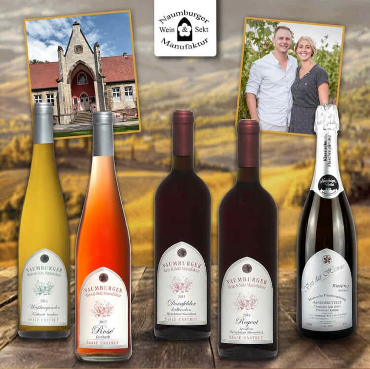 Online-Sortiment mit neuen Weinen