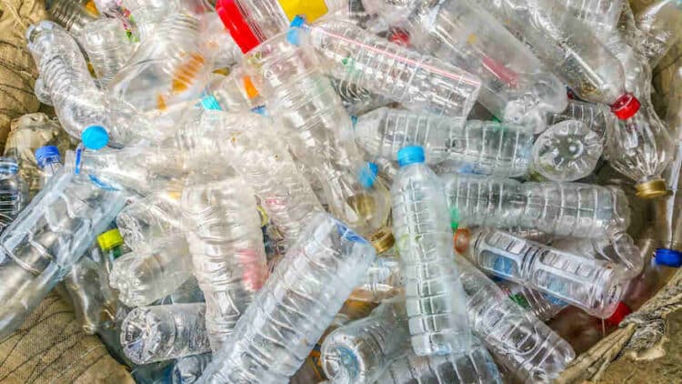 Recyclingquote auf hohem Niveau