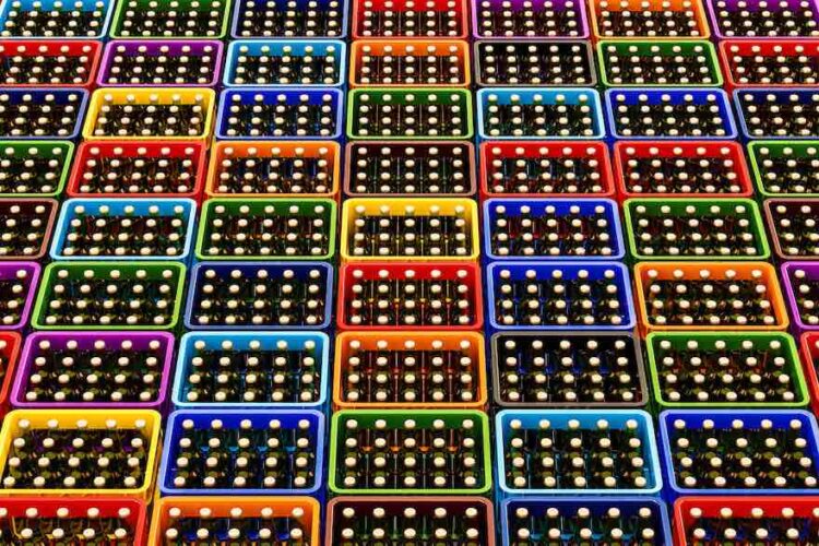 Dickes Plus in 2018 1