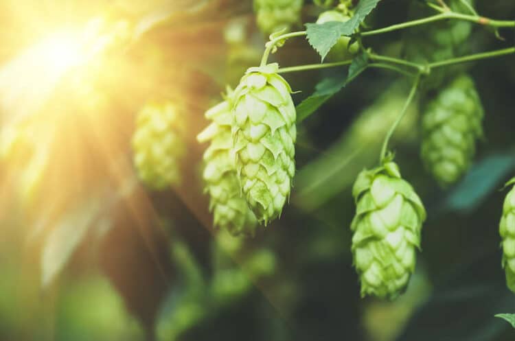 "Aktionismus nicht zielführend"