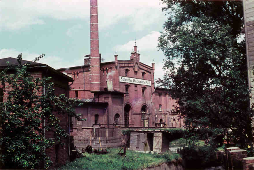 Hasseröder Brauerei im Jahr 1952