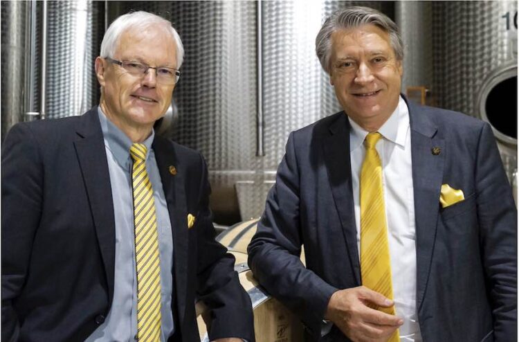 2019 mit Verlusten abgeschlossen