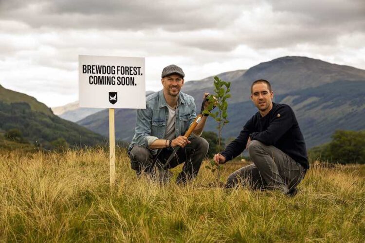 Brewdog investiert 33 Millionen in Umweltschutz
