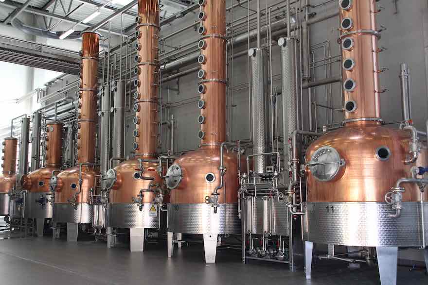 "Unser Weg war nicht gerade lehrbuchartig" 2