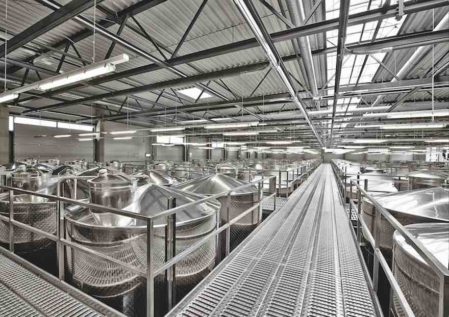 "Unser Weg war nicht gerade lehrbuchartig" 4