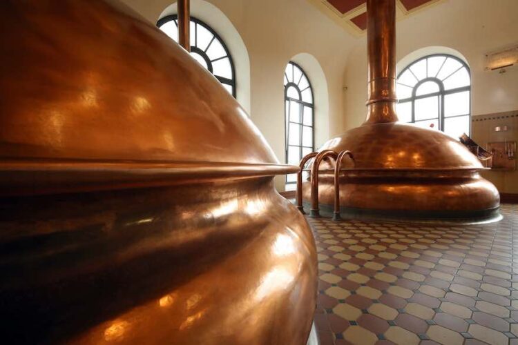 Freie Brauer fordern Finanzhilfen