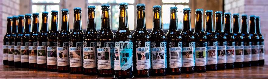 Brewdog Tierheim-Spende