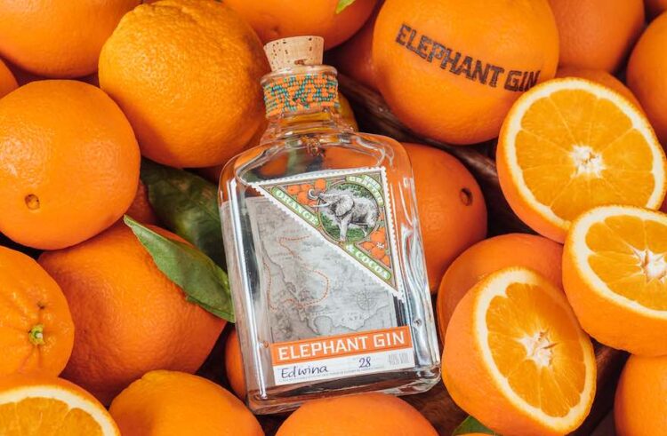 Fruchtig in den Frühling