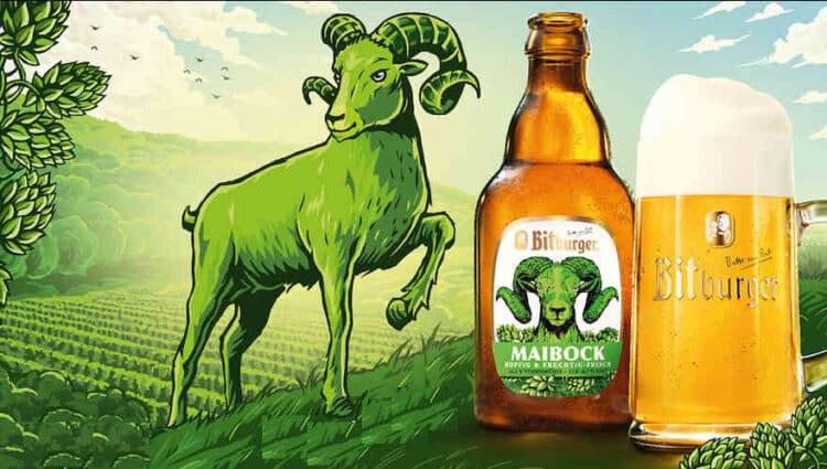 Bitburger läutet Frühjahr mit "Maibock" ein