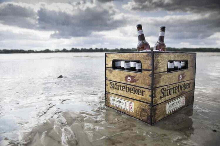 Störtebeker wächst weiter