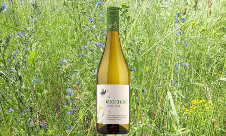 Startschuss für nachhaltige Rebsorte