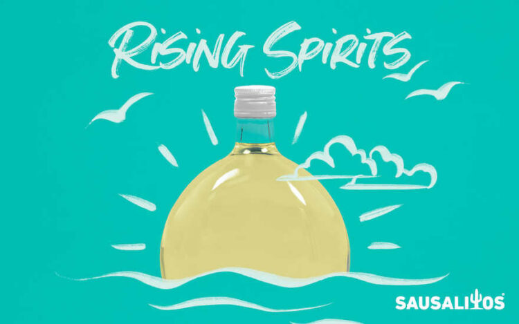 Sausalitos sucht beste Newcomer