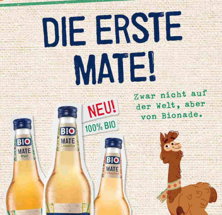 Durstiges Andenkamel