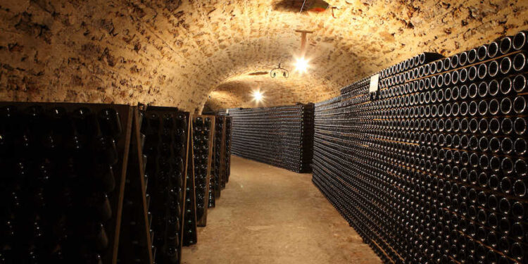 Champagner wächst in schweren Zeiten