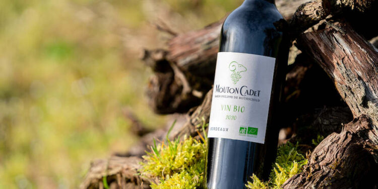 Premiere für Bio-Wein