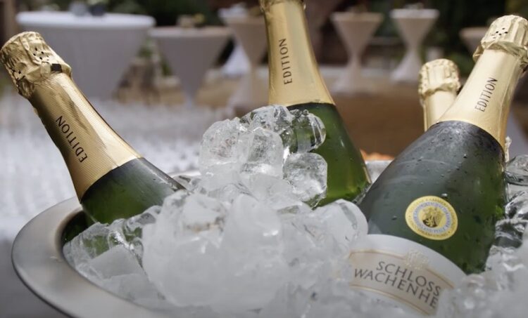 Schloss Wachenheim mit dickem Plus