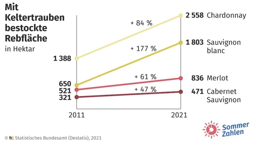 Südliche Rebsorten immer beliebter