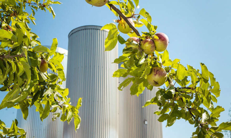 Wetterextreme belasten Safthersteller