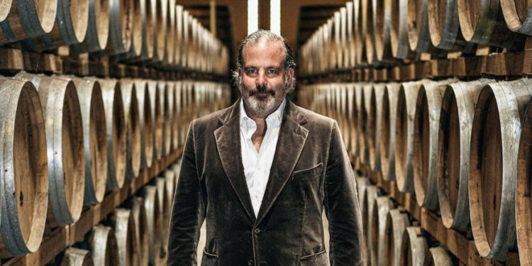 Porträt Alexander Stein