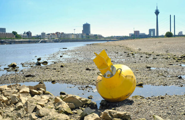 Rhein bei Düsseldorf bei Niedrigwasser