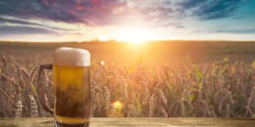 Immer mehr verzichten auf Alkohol