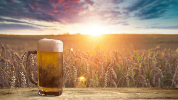 Immer mehr verzichten auf Alkohol