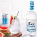Gin Tonic mit Edinburgh Seaside Gin