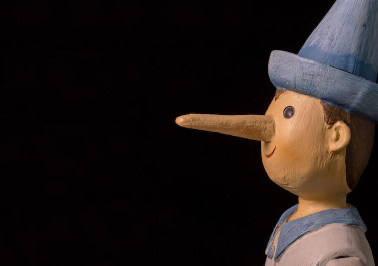 Teil 16: Politik mit falschen Wahrheiten 1