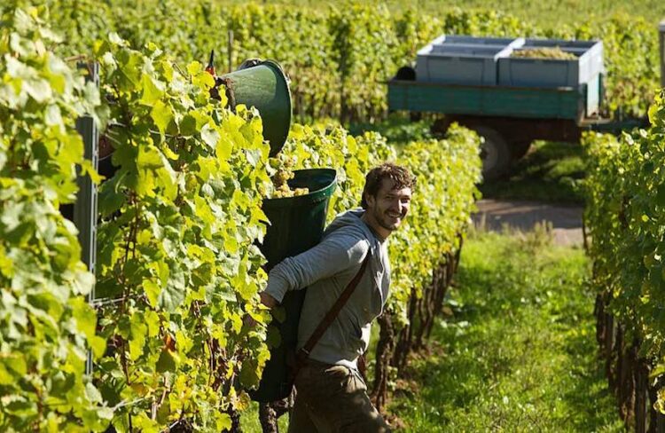 Geringe Menge, hohe Qualität