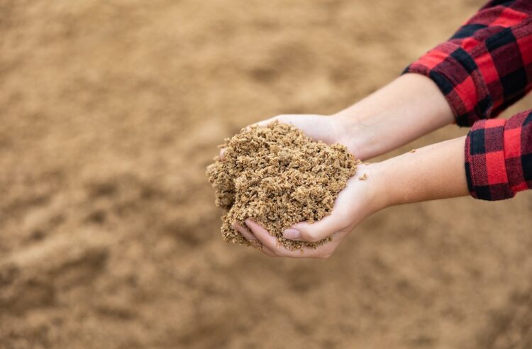 Person hält Biertreber in den Händen.