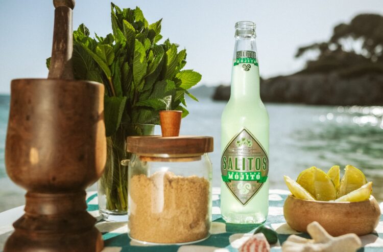 Eine Flasche Salitos Mojito mit den Zutaten Minze, Limette und Zucker