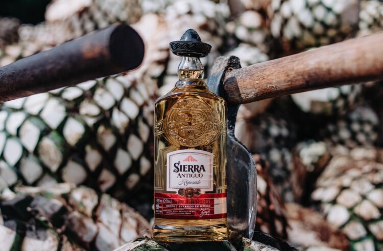 Der Sierra Antiguo Reposado ist die dritte Sorte des 100 %-Agave-Portfolios.